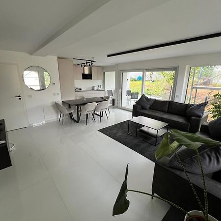 2 Moderne Wohnung Nahe Museum Sinsheim Ngoại thất bức ảnh