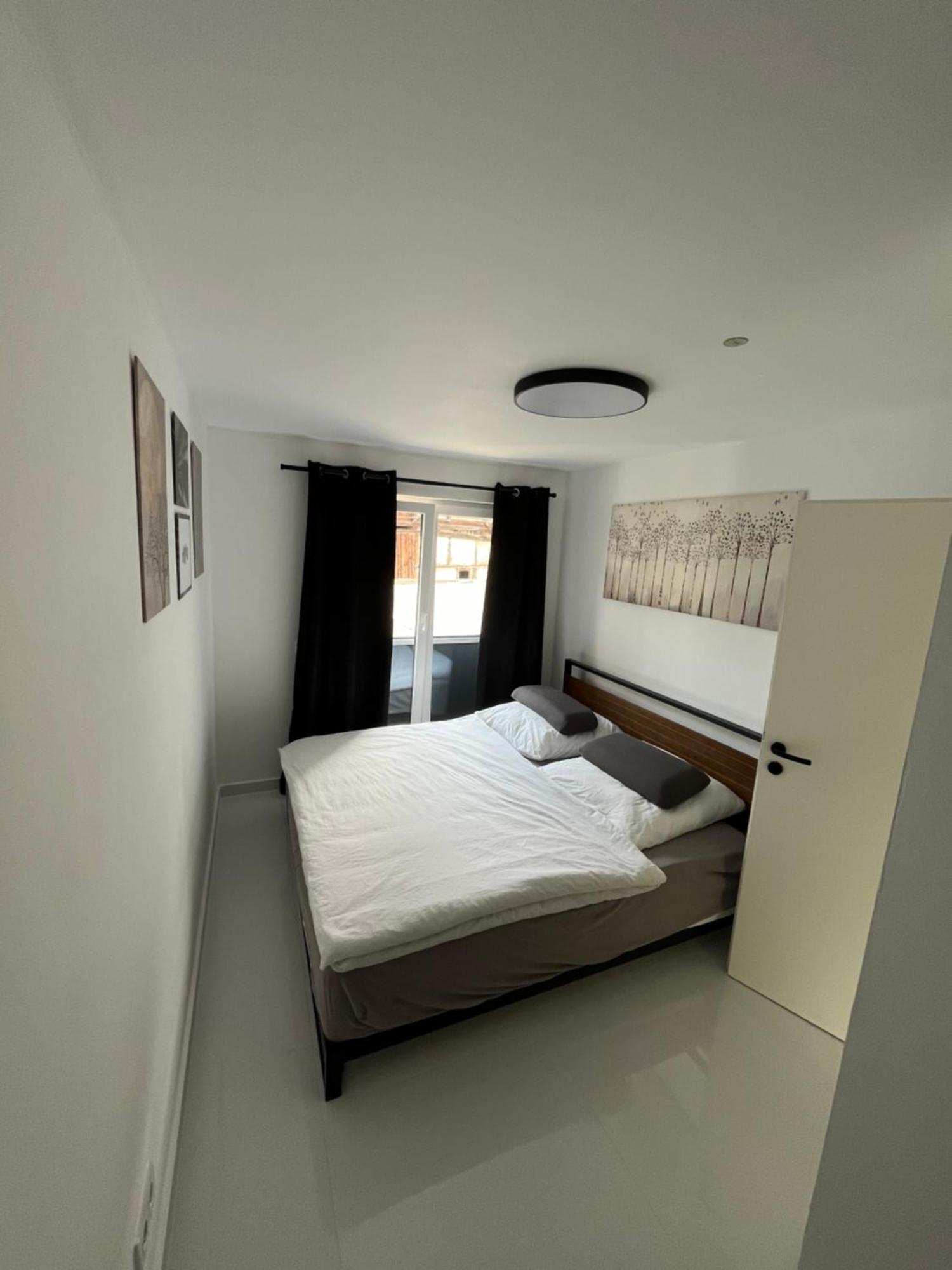 2 Moderne Wohnung Nahe Museum Sinsheim Ngoại thất bức ảnh